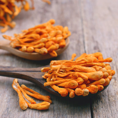 Cordyceps to Support Athletic Performance*