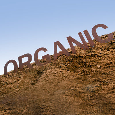 Why Organic Plants Provide Greater Health Benefits