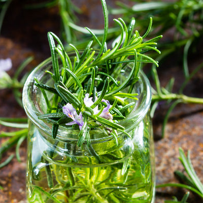 Unforgettable Rosemary Infused Oil
