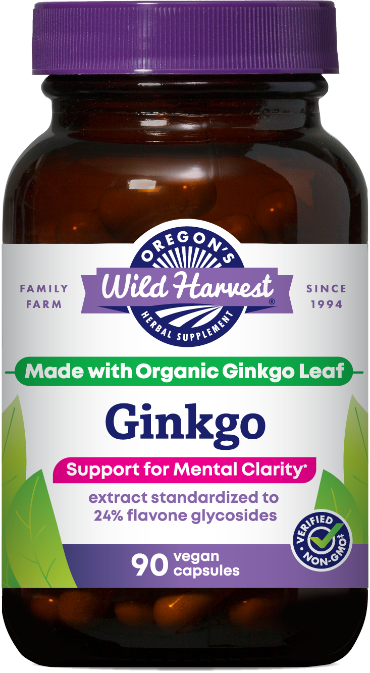 ginkgo biloba and acetyl l carnitine Acetyl L-Carnitine Powder 150g | Applied Nutrition