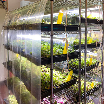 BENFRA Botanical Dietary Supplements Research Center Symposium, 2025