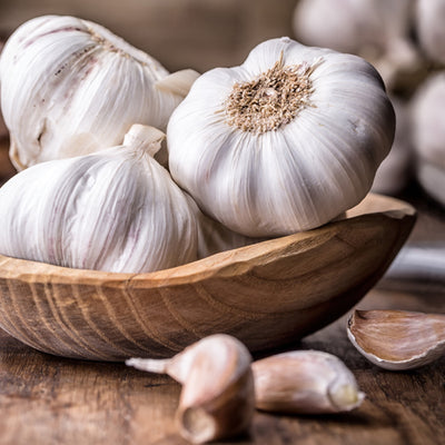 Herbs 101: Garlic