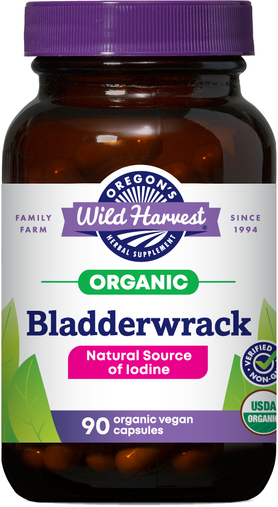 Bladderwrack organic 90ct capsules bottle front