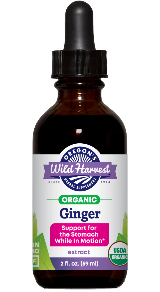 Ginger organic 2oz extract bottle front