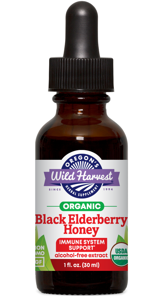 Black Elderberry Honey alcohol free organic 1oz extract bottle front