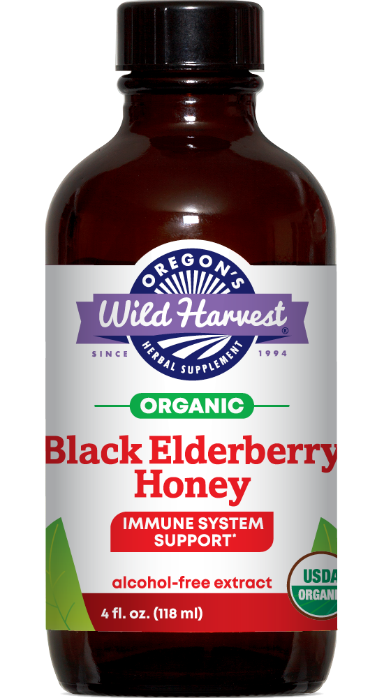 Black Elderberry Honey alcohol free organic 4oz extract bottle front