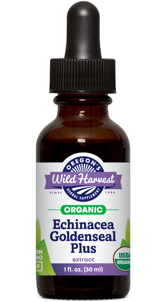 Echinacea Goldenseal Plus organic 1oz extract bottle front