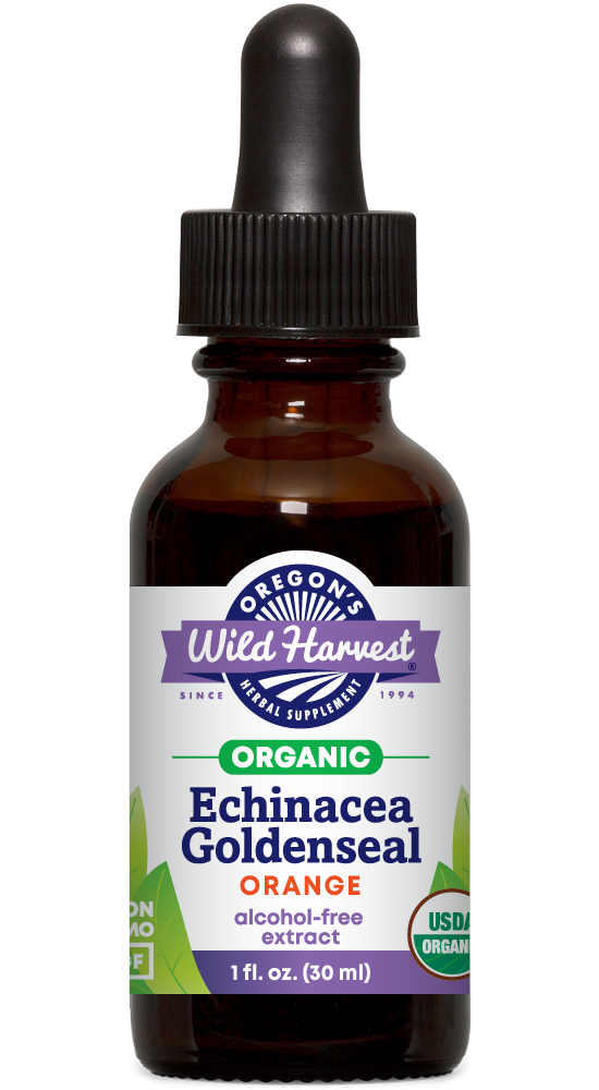 Echinacea Goldenseal alcohol free organic 1oz extract bottle front