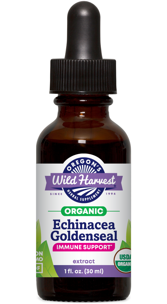 Echinacea Goldenseal organic 1oz extract bottle front