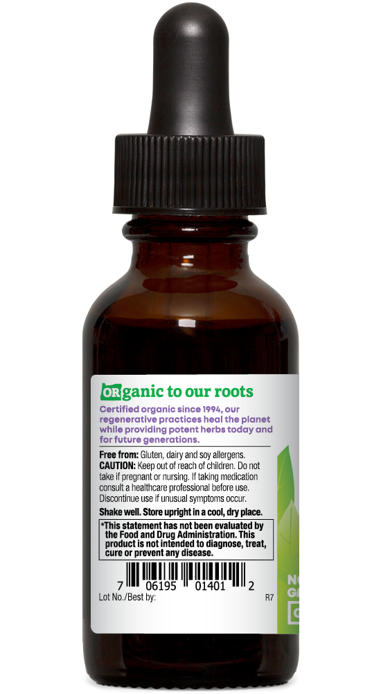 Black Elderberry Elixir, Organic Herbal Extract