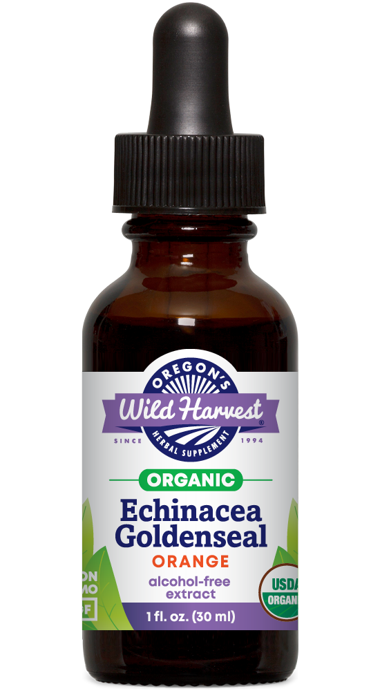 Echinacea Goldenseal 1 oz, Organic Alcohol-free Extract