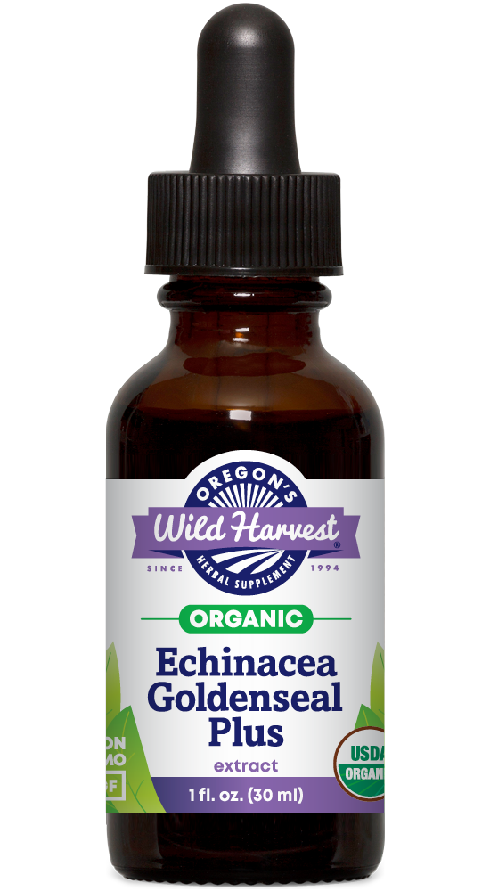 Echinacea Goldenseal Plus, Organic Extract