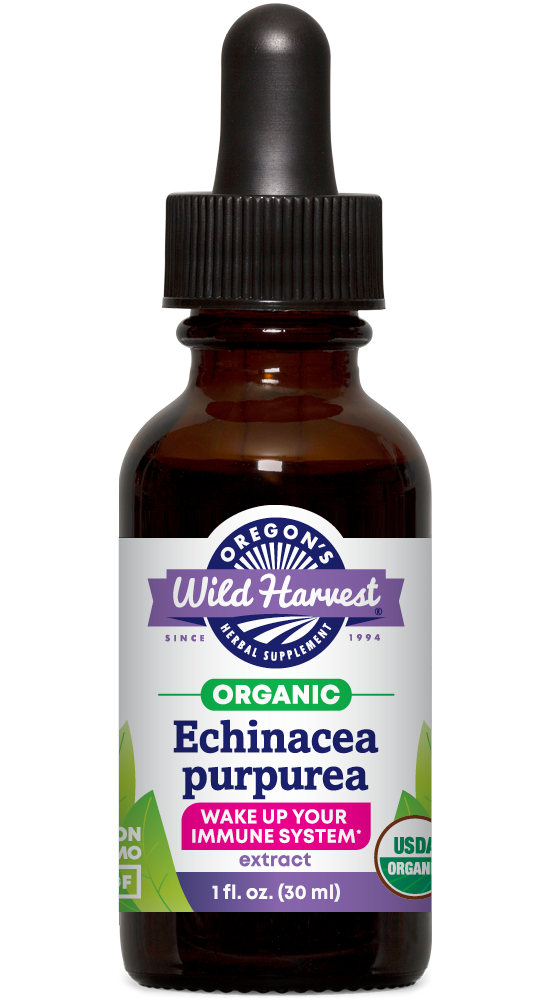 Echinacea purpurea, Organic Extract