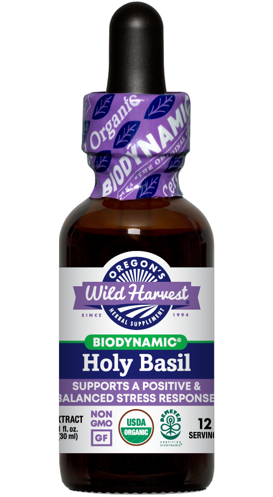Holy Basil, Biodynamic Herbal Tonic 1 oz