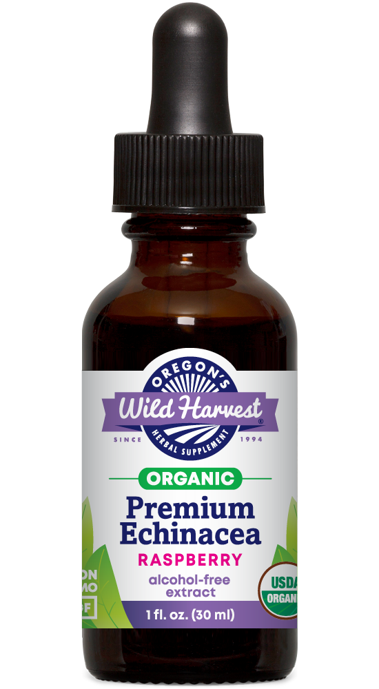 Premium Echinacea alcohol free organic 1oz extract bottle front