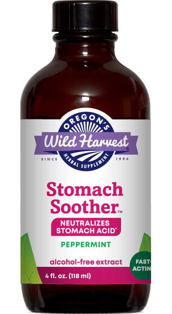 Stomach Soother™ 4oz alcohol free extract bottle front